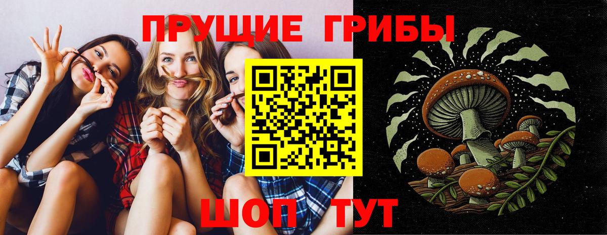 Галлюциногенные грибы прущие грибы Карталы
